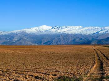Tocht Moto-cross Almuñécar - Sierra de los Guejares - Photo