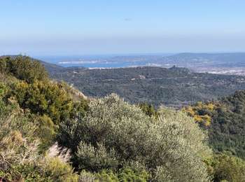 Randonnée Marche La Garde-Freinet - La Garde Freinet - ND Miremer - Photo