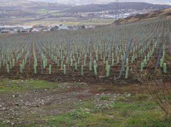 Percorso Marcia Cournon-d'Auvergne - Cournon-d'Auvergne (Puy-d'Anzelle) - Photo
