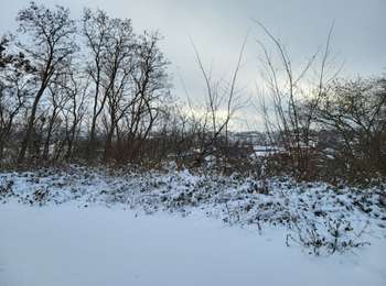 Trail Walking Sambreville - Auvelais 060126 - Photo