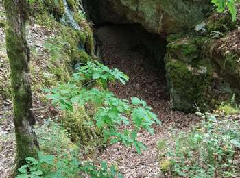 Trail Walking Saint-Barthélemy - St Barthélémy - les mines du Mont de Vannes - Photo
