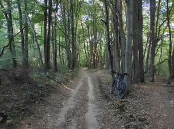 Percorso Mountainbike Saint-Priest - VTT Saint Priest   Vallencin  Chaponnay - Photo
