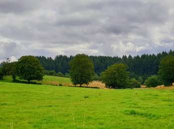 Trail Walking Sivry-Rance - Balade à Montbliart - Photo