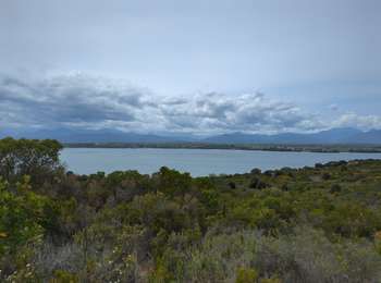 Trail Walking Aléria - diane - Photo