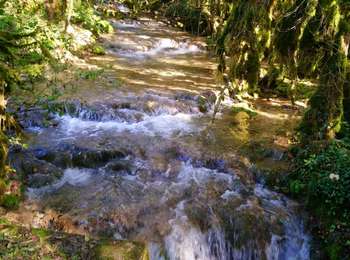 Trail Walking Meussia - Meussia  - Photo