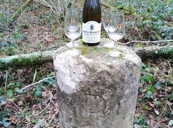 Trail Walking Montigny-la-Resle - Borne Cistercienne 10 - Photo