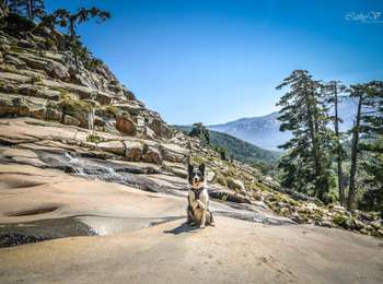 Trail Walking Albertacce - Cascade de Radule - Photo