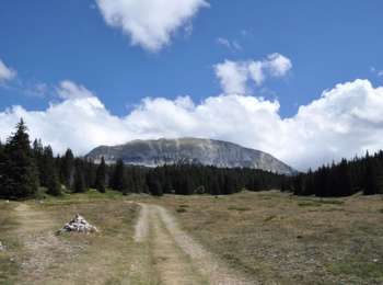 Randonnée Marche Saint-Agnan-en-Vercors - Aiguillette ou Petit Veymont par la Coche - Grande Cabane - Photo