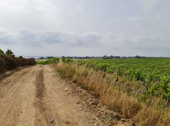 Trail Walking Aléria - Aleria  La tour de Diane - Photo