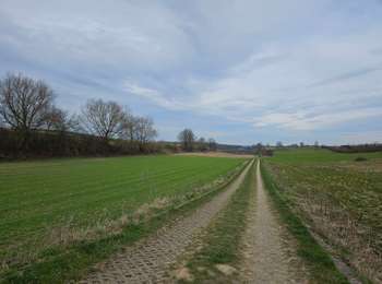 Randonnée Marche Voerendaal - Ubachsberg  - Photo
