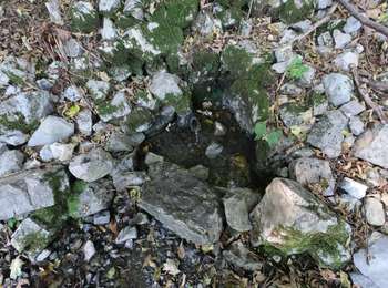 Tour Zu Fuß Capizzone - Sentiero 583: Medega (Capizzone) - Passo del Canto - Photo