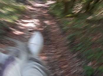 Trail Horseback riding Pont-de-Poitte - poitre binans 14/o7/19 - Photo