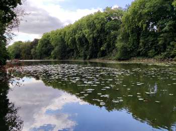 Trail Walking Enghien - Le Parc d'Enghien et ses jardins exceptionnels  - Photo