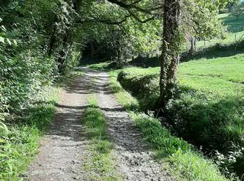 Trail Horseback riding Chainaz-les-Frasses - Lachat circuit court - Photo