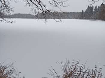 Trail Walking La Voivre - 03-01-26 :Annegray, Plate Pierre...  - Photo
