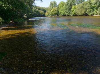 Trail Canoe - kayak Saint-Léon-sur-Vézère - Descente de la Vézère - Photo
