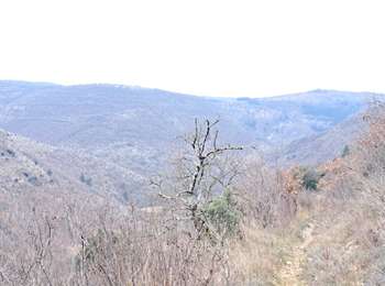 Tour Wandern Vissec - sentier du Regagnas  - Photo