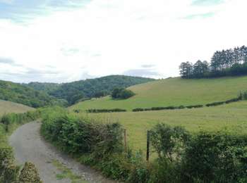 Trail Walking Dison - boucle au départ d'Andrimont (Dison)-balisage bleu - Photo