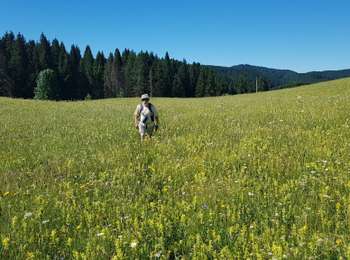 Trail Walking Les Moussières - 29 06 19 grande molune d tour - Photo