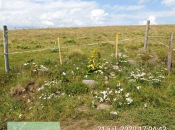 Percorso 4x4 Montgreleix - Mongreleix - Photo