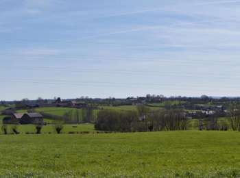 Trail Walking Welkenraedt - 20220411 - Grunhaut 7 Km - Photo