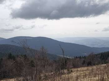 Percorso Marcia Saint-Pierre-la-Bourlhonne - Boucle Col du Béal - Pierre sur Haute  - Photo