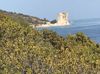 Trail Walking Saint-Florent - St Florent Plage de Saleccia - Photo