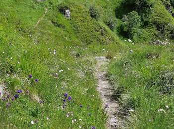 Percorso Marcia Mont-Dore - Première randonnée dans le Sancy - Photo