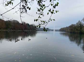 Tocht Stappen Rixensart - Rosières - Lac de Genval - Tombeek - Photo