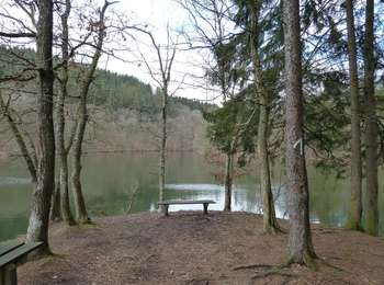 Excursión A pie La Roche-en-Ardenne - Promenade du Lac de Nisramont - Photo