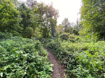 Trail Walking Quévy - Genly 19,3 km - Photo