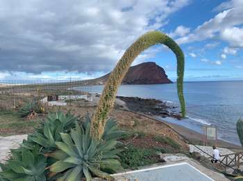 Tour Wandern Granadilla de Abona - Granadilla de Abona_ Réserve et Montana Roja - Photo