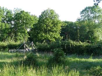 Excursión A pie Zutendaal - Lieteberg Groene rechthoek - Photo