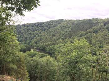 Trail Walking Herbeumont - RSIH - Herbeumont - Les Crêtes - Photo