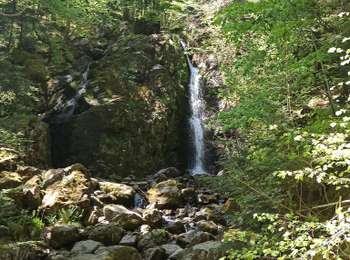 Trail Walking Plancher-les-Mines - 26-04-26 : cascade gouttes des saules et belvédère - Photo