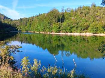 Trail Walking Ravilloles - lacde Ravilloles - Photo