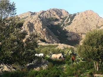 Trail Walking Palasca - boucle de gradu  - Photo