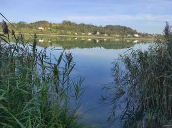 Trail Walking Soucia - Soucia 3 - Photo
