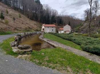 Percorso Mountainbike Lachaux - Vtt Lachaux - Photo