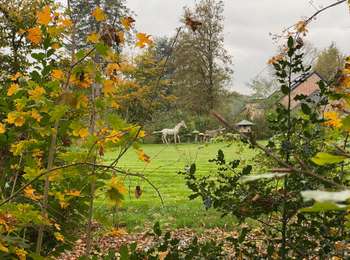 Tocht Stappen Kasteelbrakel - Braine-le-Château - Beersel (GR12) - Photo
