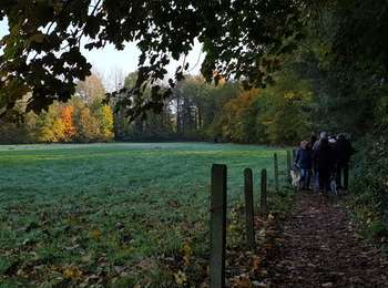 Tocht Stappen Kasteelbrakel - Marche Adeps á  Braine-le-Château  - Photo