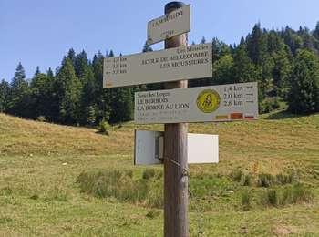 Trail Walking La Pesse - Crêt au Merle  - Photo