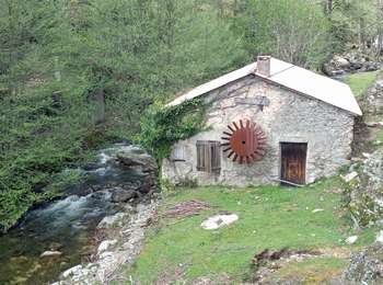 Trail Walking Ghisoni - croce à Sarra - Photo