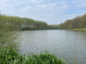 Trail Walking Le Rœulx - BE-Le Roeulx - La Haye du Roeulx - Domaine Aldo Vastapane - W - Photo