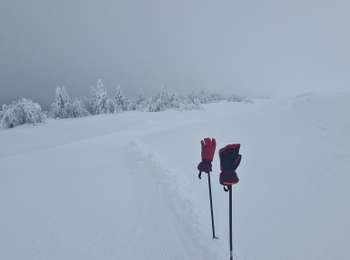 Percorso Camminata nordica Chastreix - chastreix-Sancy - Photo