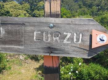 Randonnée Marche Osani - Girolata Curzu - Photo