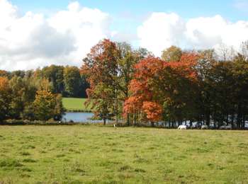 Trail Walking Libramont-Chevigny - RB-Lu-22_Flohimont_via-racc - Photo