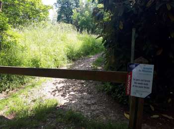 Randonnée Marche Magny-les-Hameaux - bois des roches - Photo
