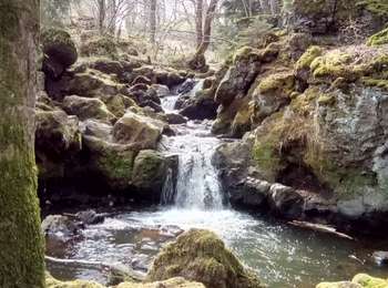 Randonnée Marche Besse-et-Saint-Anastaise - Cascades de Chiloza (1h44-D151m) - Photo