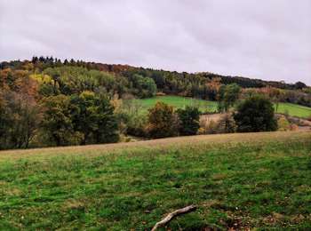 Trail Walking Anthisnes - Boucle de la Bégasse  - Photo